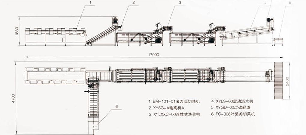 0000-全自动连续式叶菜类清洗线-2.jpg